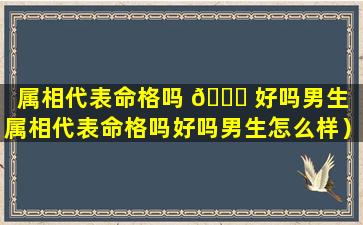 属相代表命格吗 🐛 好吗男生（属相代表命格吗好吗男生怎么样）